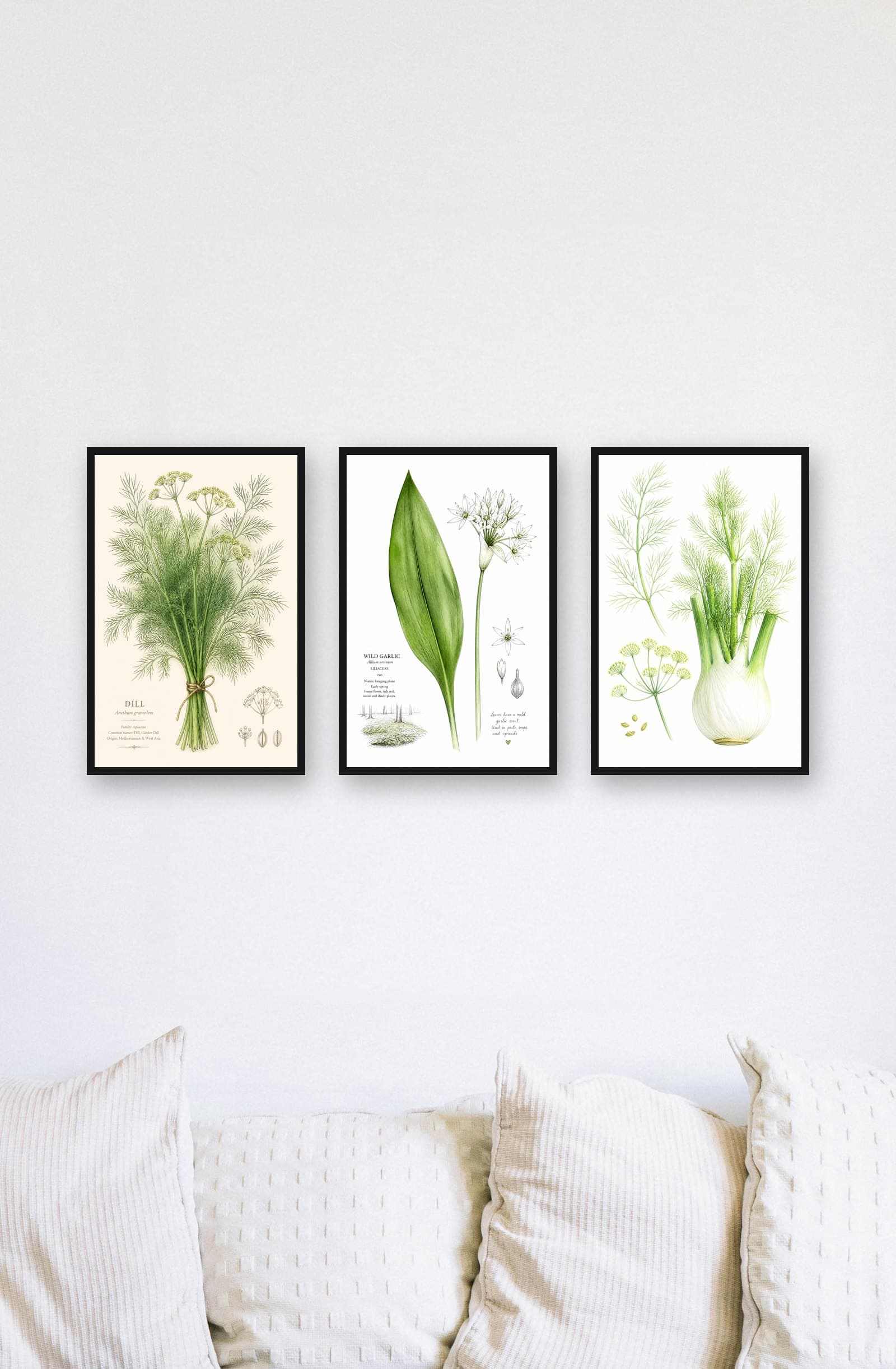 Triptyque Herbes du Nord : mise en situation murale
