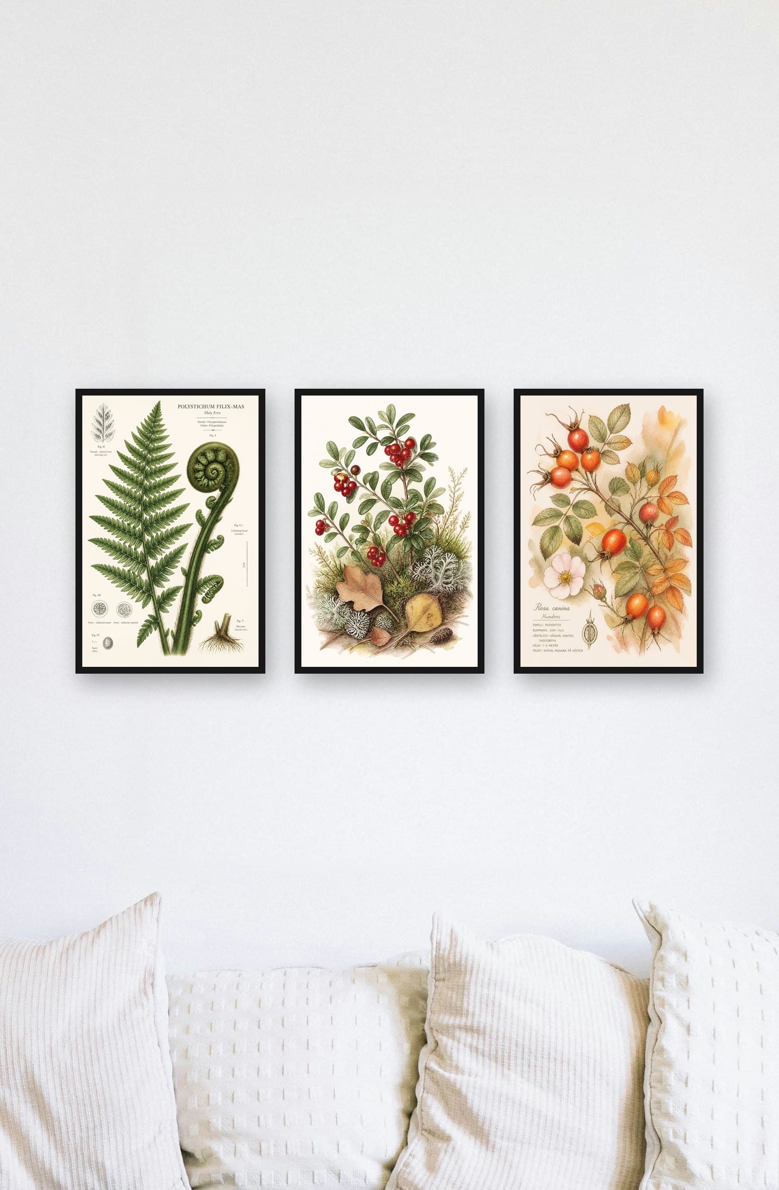 Triptyque Herbier nordique : mise en situation murale